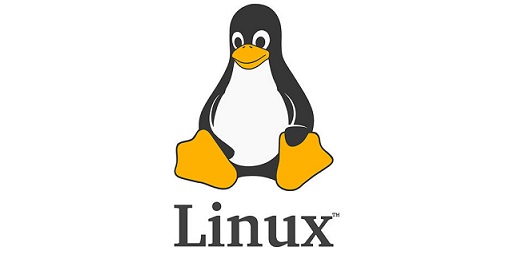 Linux Sunucu Nedir? 