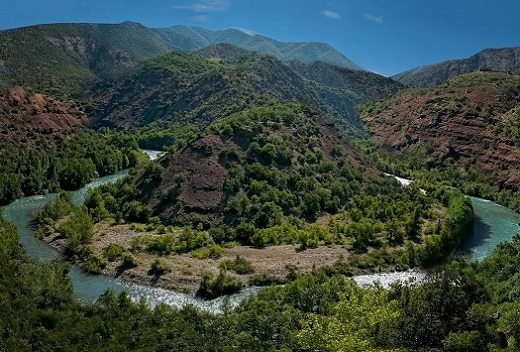 Tunceli Web Siteleri