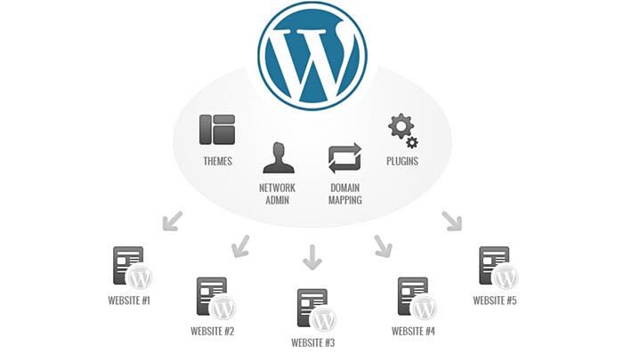 WordPress Multisite Nedir?